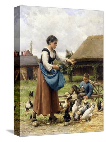 Stretched Canvas Print, , large
