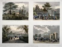 The Jardin Des Plantes in Paris: Cedar and the Labyrinth, the Giraffe, Pheasants, Monkeys-Julien Jacottet-Framed Stretched Canvas