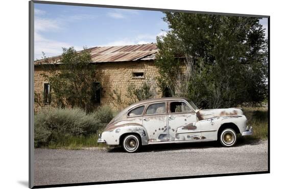 Photographic Print, , large