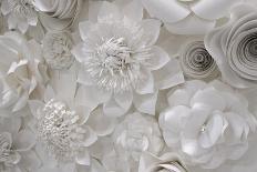 Variety of white flower designs made from cut paper. New York City, New York, USA-Julien McRoberts-Photographic Print