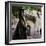 Juliet's Balcony and Statue, Verona, UNESCO World Heritage Site, Veneto, Italy, Europe-Stuart Black-Framed Photographic Print