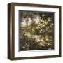 Juliet's Garden III-Gabriela-Framed Art Print