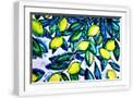 White Frame
