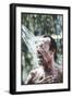 Julio Iglesias Having a Shower-Angelo Cozzi-Framed Photographic Print