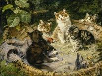 Besuch bei der kranken Katze-Julius Adam-Giclee Print