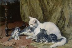 Entre Nous (Self-Portrait with Cats), 1911-Julius Adam-Giclee Print