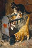 The Introduction: Silver and Ginger Kittens-Julius Adam-Framed Giclee Print