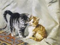 Besuch bei der kranken Katze-Julius Adam-Giclee Print