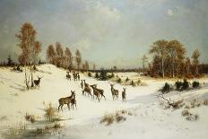 Deer in a Wooded Winter Landscape-Julius Arthur Thiele-Stretched Canvas