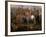 Julius Caesar, 100-44 BC Roman general, Sending Roman Colony to Carthage-Claude Audran the Younger-Framed Giclee Print