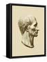 Julius Caesar, Roman General and Statesman-Science Source-Framed Stretched Canvas