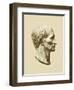 Julius Caesar, Roman General and Statesman-Science Source-Framed Giclee Print