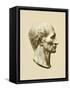 Julius Caesar, Roman General and Statesman-Science Source-Framed Stretched Canvas