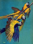 "Three Parrots,"March 11, 1939-Julius Moessel-Giclee Print