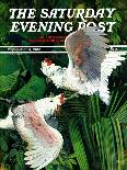 "Orangutans & Bird Nest," Saturday Evening Post Cover, February 17, 1940-Julius Moessel-Stretched Canvas