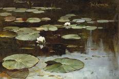 Water Lilies-Julius Sergius Klever-Stretched Canvas