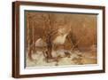 Brown Frame