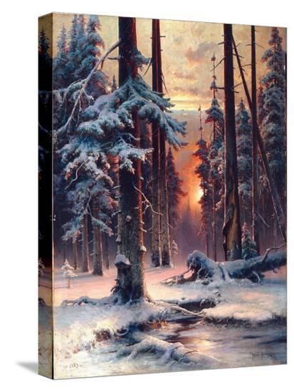 Stretched Canvas Print, , large