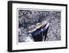 July 18-Cory Silken-Framed Giclee Print