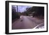 July 1973: Bermuda Street-Alfred Eisenstaedt-Framed Photographic Print