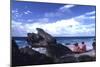 July 1973: Bermuda-Alfred Eisenstaedt-Mounted Photographic Print