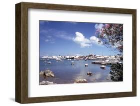 July 1973: Bermuda-Alfred Eisenstaedt-Framed Photographic Print