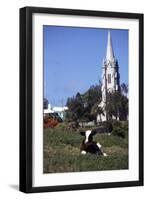 July 1973: Bermuda-Alfred Eisenstaedt-Framed Photographic Print