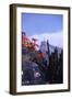 July 1973: Christ the Redeemer Statue, Rio De Janeiro, Brazil-Alfred Eisenstaedt-Framed Photographic Print