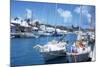 July 1973: Sailing in Bermuda-Alfred Eisenstaedt-Mounted Photographic Print