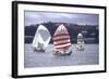 July 1973: Sailing in Bermuda-Alfred Eisenstaedt-Framed Photographic Print
