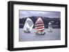 July 1973: Sailing in Bermuda-Alfred Eisenstaedt-Framed Photographic Print