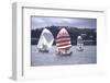 July 1973: Sailing in Bermuda-Alfred Eisenstaedt-Framed Photographic Print