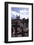 July 1973: Town of Ouro Preto, Brazil-Alfred Eisenstaedt-Framed Photographic Print