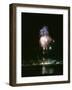 July 4, 1959: View of a Fireworks Display Above the Detroit River, Detroit, Michigan-Stan Wayman-Framed Photographic Print