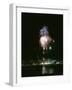 July 4, 1959: View of a Fireworks Display Above the Detroit River, Detroit, Michigan-Stan Wayman-Framed Photographic Print