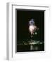 July 4, 1959: View of a Fireworks Display Above the Detroit River, Detroit, Michigan-Stan Wayman-Framed Photographic Print