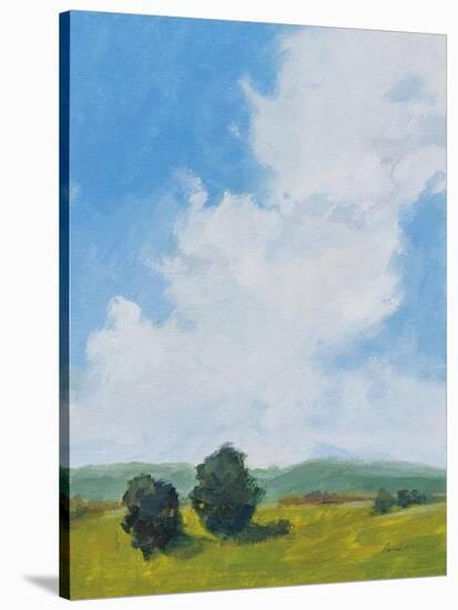 July Clouds-Pamela Munger-Stretched Canvas