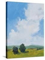 July Clouds-Pamela Munger-Stretched Canvas