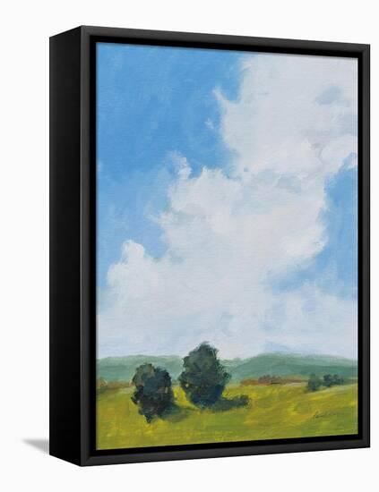 July Clouds-Pamela Munger-Framed Stretched Canvas