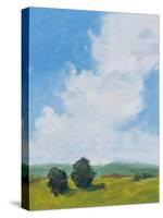 July Clouds-Pamela Munger-Stretched Canvas