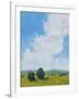 July Clouds-Pamela Munger-Framed Art Print