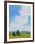 July Clouds-Pamela Munger-Framed Art Print