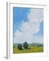 July Clouds-Pamela Munger-Framed Art Print