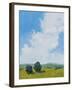 July Clouds-Pamela Munger-Framed Art Print