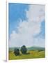 July Clouds-Pamela Munger-Framed Art Print