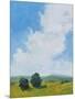 July Clouds-Pamela Munger-Mounted Art Print