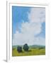 July Clouds-Pamela Munger-Framed Art Print