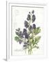 July Delphinium on White-Katie Pertiet-Framed Art Print