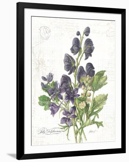 July Delphinium on White-Katie Pertiet-Framed Art Print