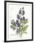 July Delphinium on White-Katie Pertiet-Framed Art Print